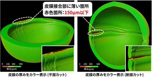 皮膜の厚みをカラー表示