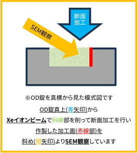 加工・観察イメージ