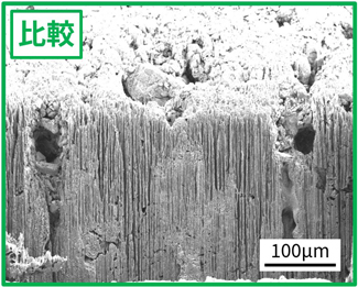 崩壊剤を含まないOD錠の断面SEM像(水滴下後)