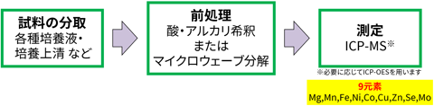 分析の流れ(ICP-MS)