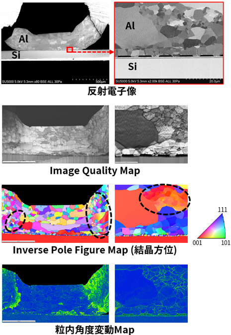 低真空SEMでの観察およびEBSD測定