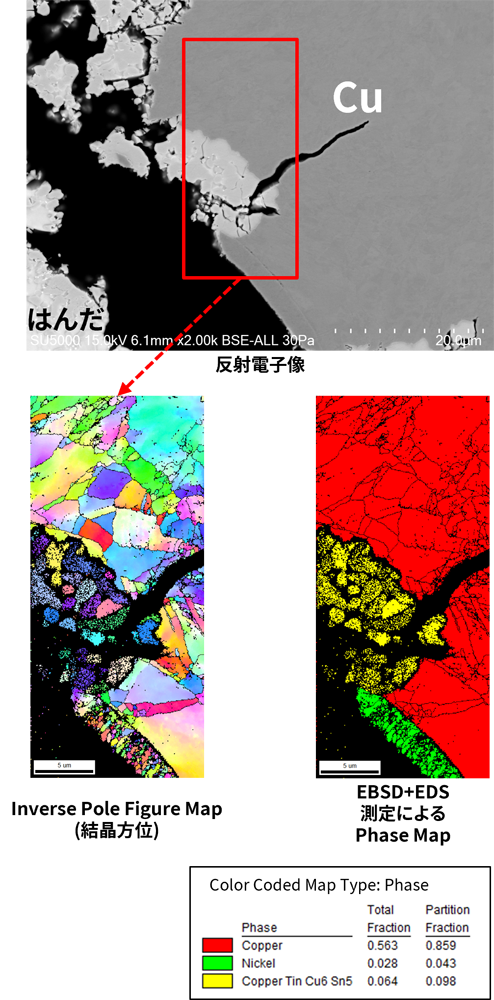 低真空SEMでの観察およびEBSD測定