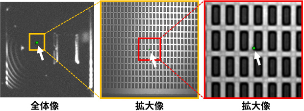 OBIRCH解析 全体像 拡大像