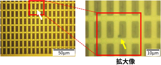 光学顕微鏡観察 拡大像 拡大像