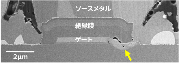 異常箇所の断面SEM像