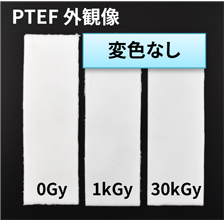 PTEF 外観像