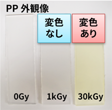 PP 外観像