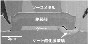 SEMによる不具合箇所の断面観察