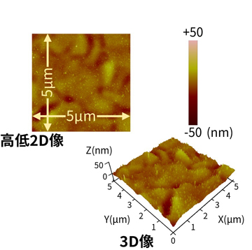 AFMの高低2D像と3D像