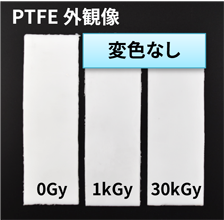 PTFE 外観像